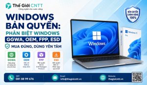 Mua Windows bản quyền tại Thế Giới CNTT