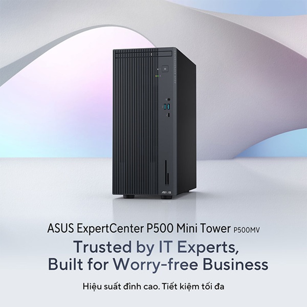 Máy tính ASUS ExpertCenter P500MV Mini Tower