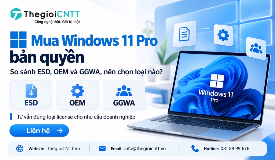 Mua Windows 11 Pro bản quyền nên chọn loại nào?