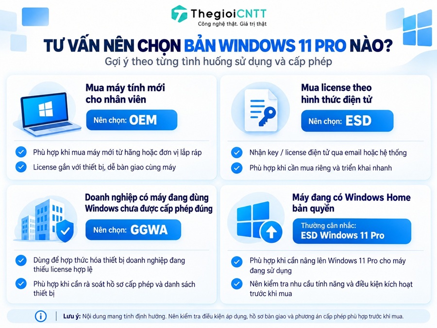 Tư vấn chọn Windows 11 Pro bản quyền phù hợp